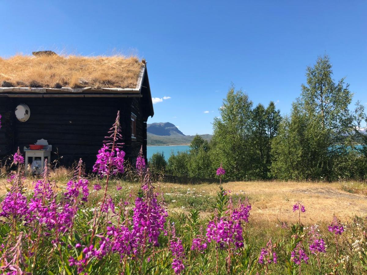 Brimi Fjellstugu Hotell Tessand Exteriör bild